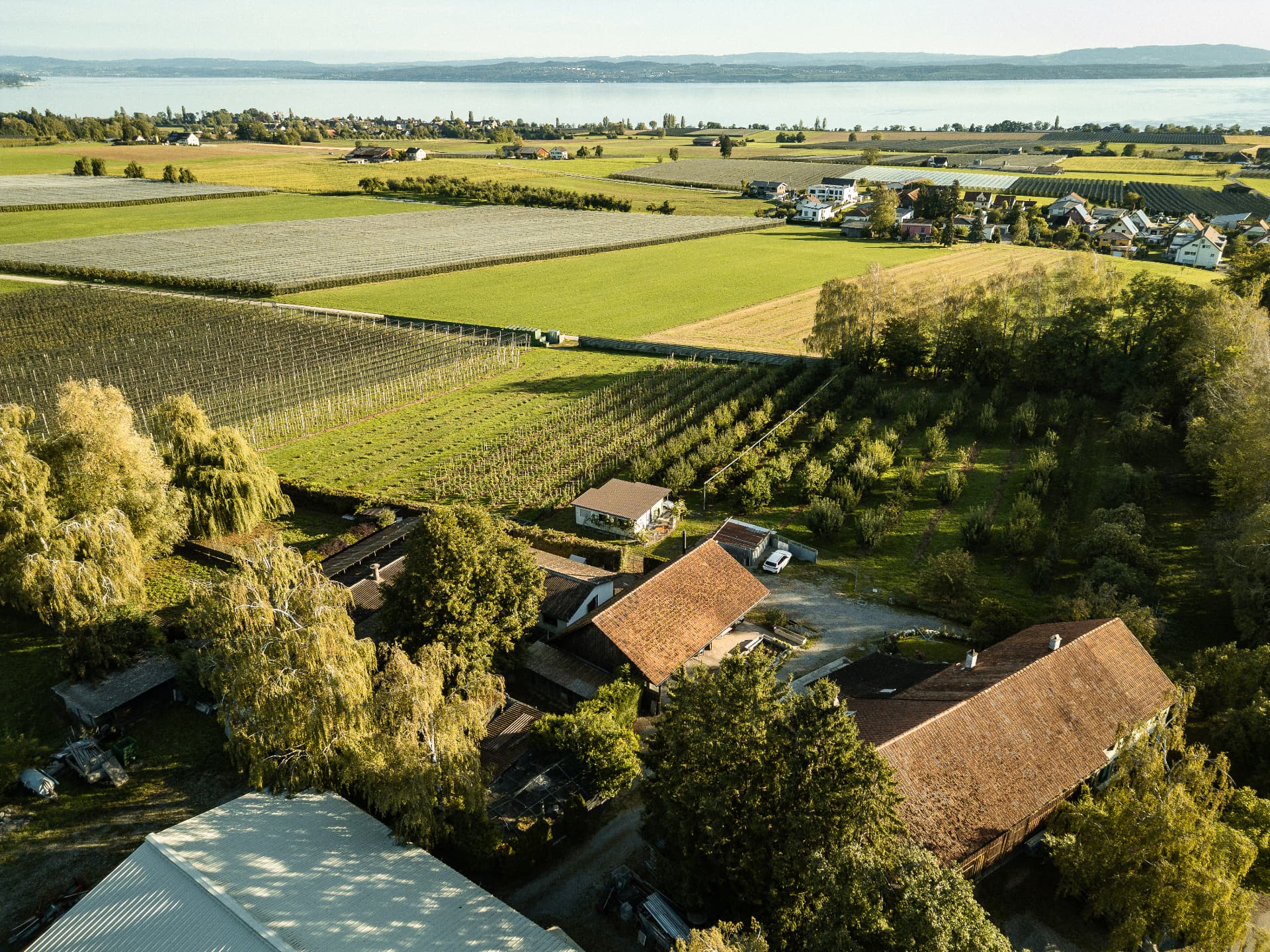 Das Tierheim Altnau mit Blick über Felder zum Bodensee