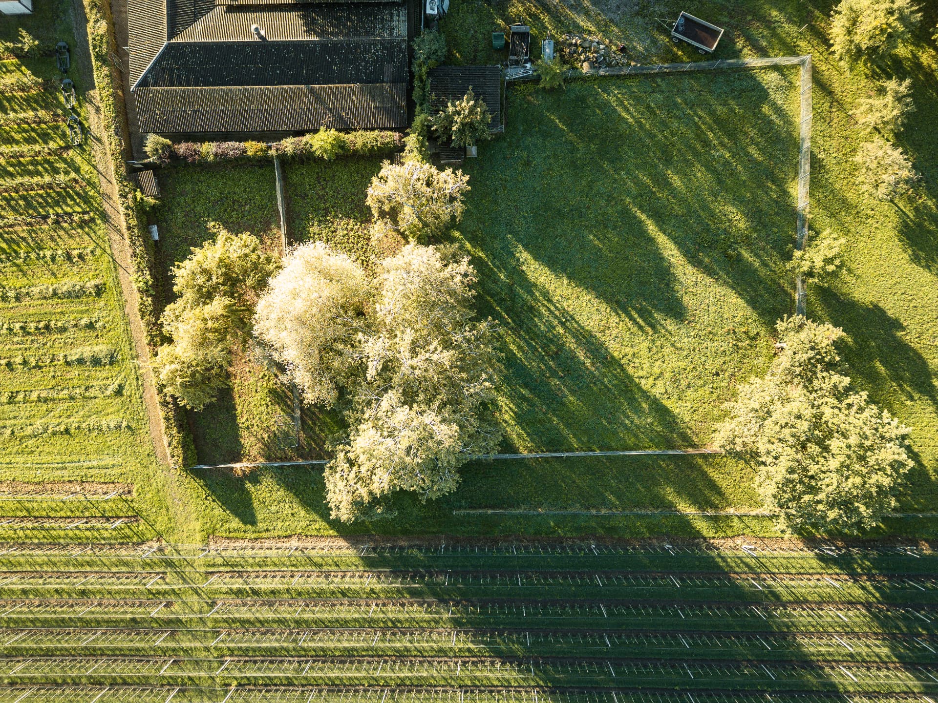 Luftbild des Tierheim-Geländes mit Hauptgebäude und Auslaufwiese