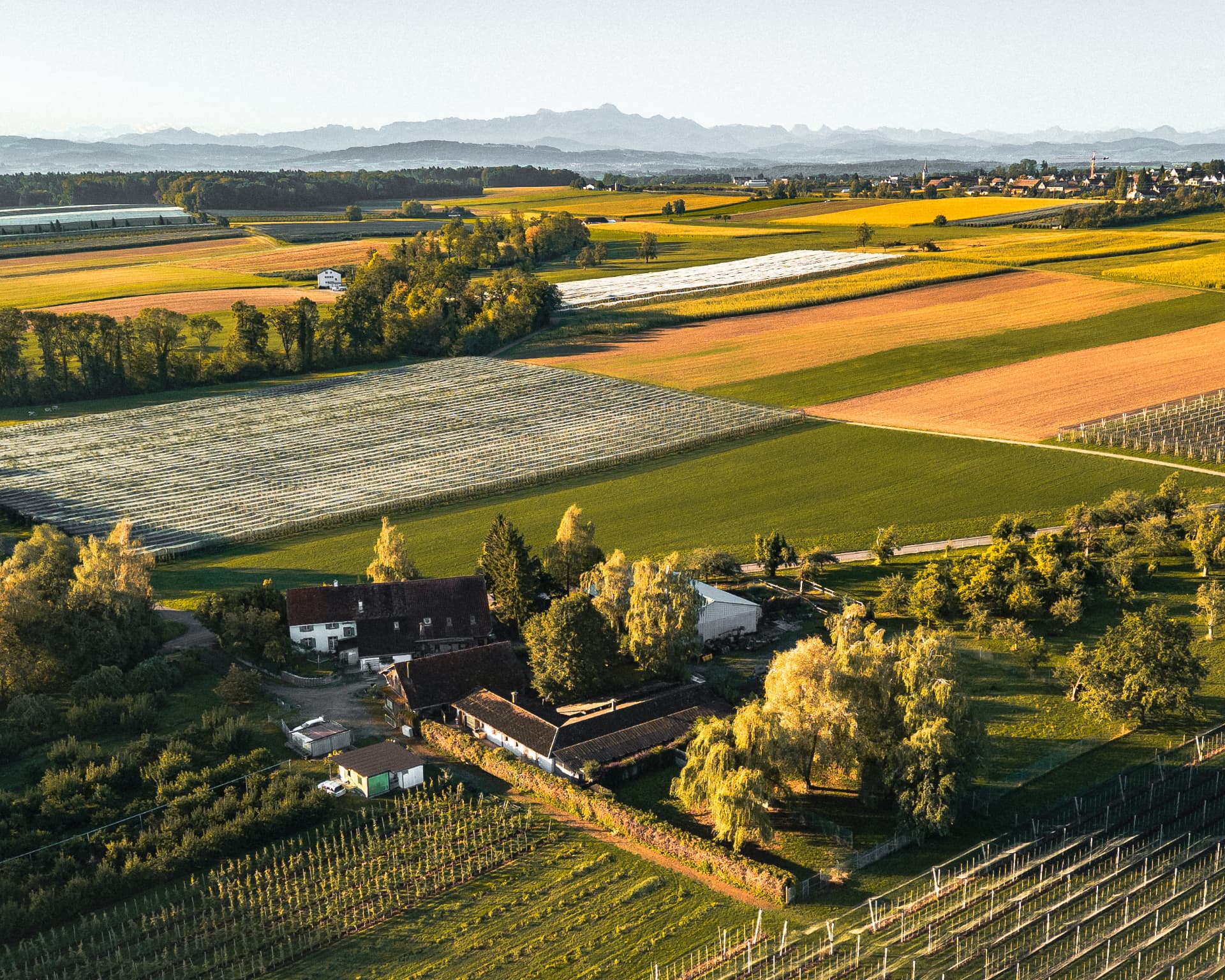 Luftaufnahme des Tierheims Altnau am Bodensee mit Aussengehegen, Wiesen und Hauptgebäude